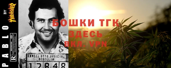 скорость Вяземский