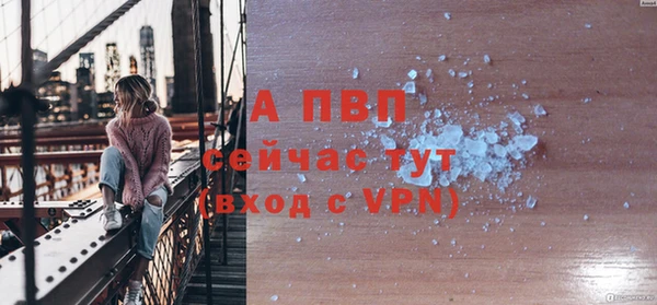 скорость Вяземский