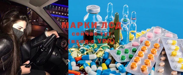 гидра Горнозаводск