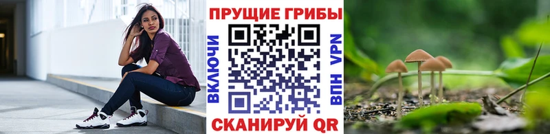 где купить наркотик  Дивногорск  Галлюциногенные грибы Magic Shrooms 