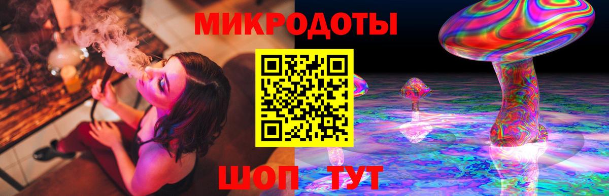 Псилоцибиновые грибы Cubensis  Дивногорск 