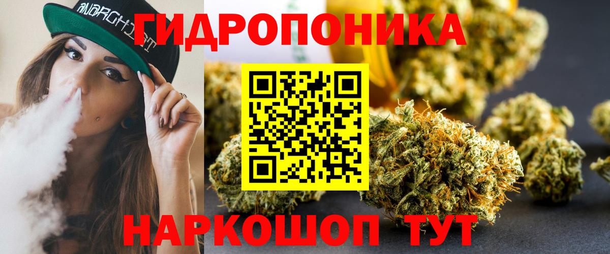 Бошки марихуана сатива  Бошки Шишки Bruce Banner  Конопля конопля  Вход с VPN  Дивногорск 